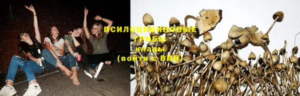 синтетический гашиш Вяземский